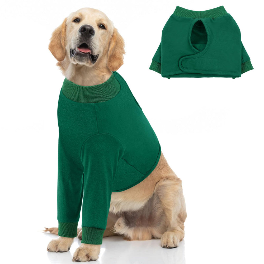 Queenmore dog recovery suit front leg sleeve protects wounds and prevents licking.