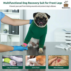 Queenmore dog recovery-suit-wound-protection provides reliable protection against irritation.