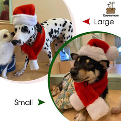 Queenmore Dog Santa Hat closeup reveals white plush trim for cozy holiday flair.