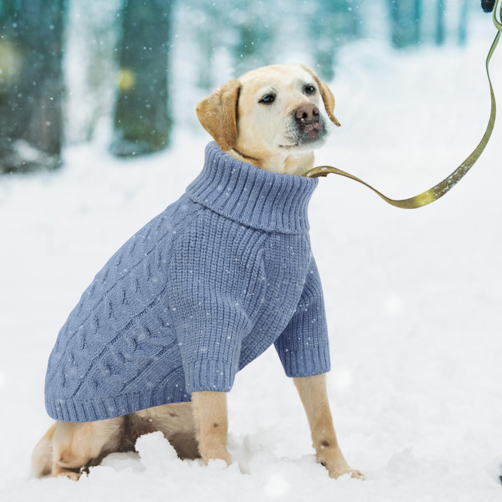 Queenmore dog sweater abdominal opening supports toilet breaks with less mess
