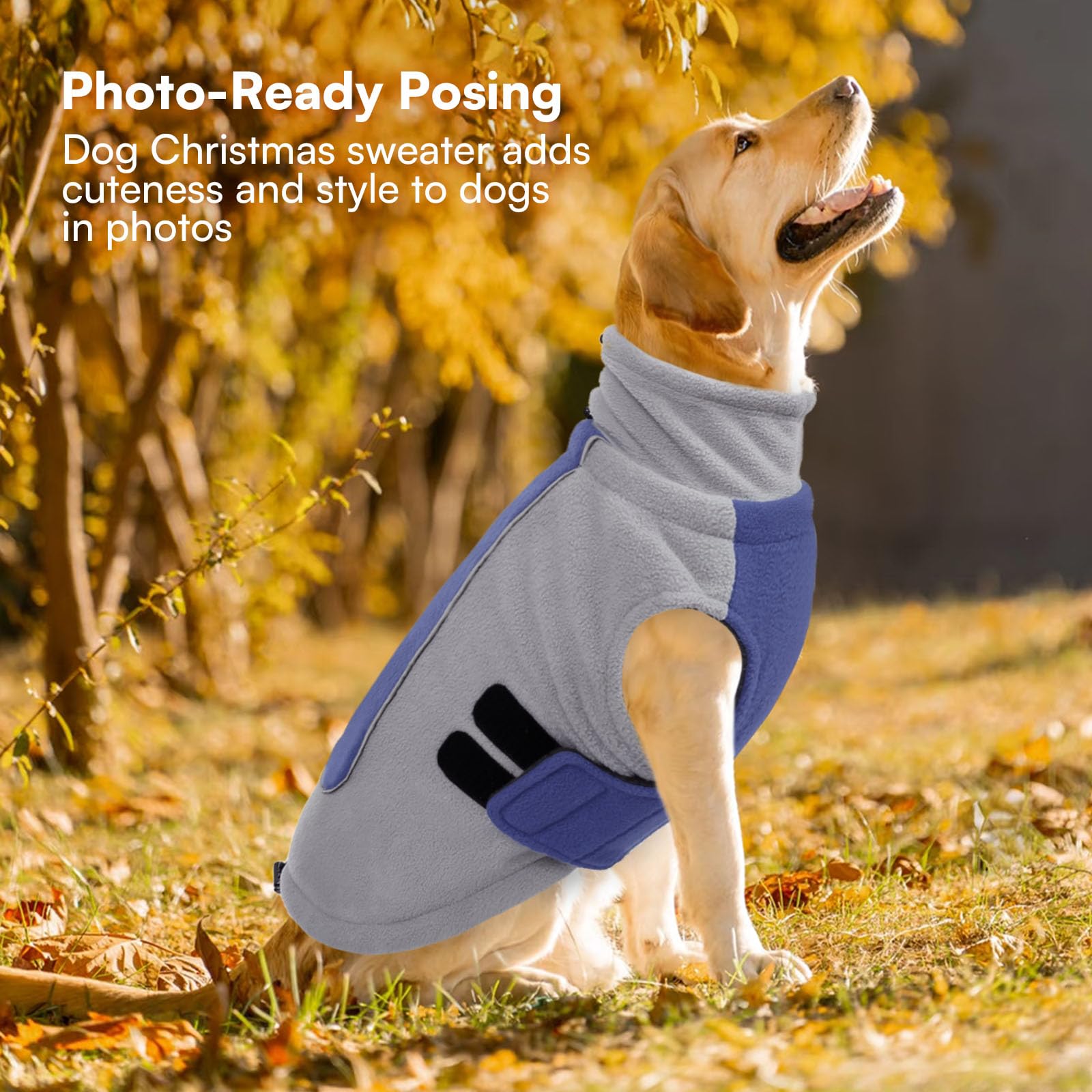 Queenmore adjustable abdomen ensures easy on/off and secure fit.