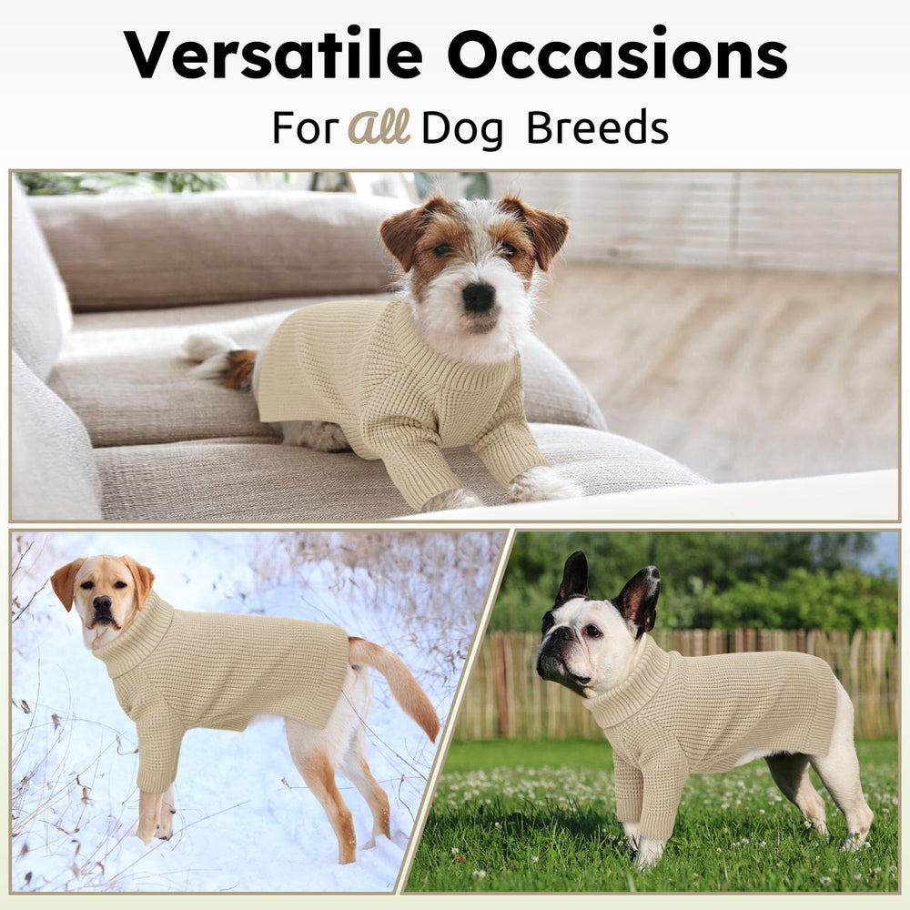 Queenmore apricot XS dog sweater fashion detail check pattern for festive flair