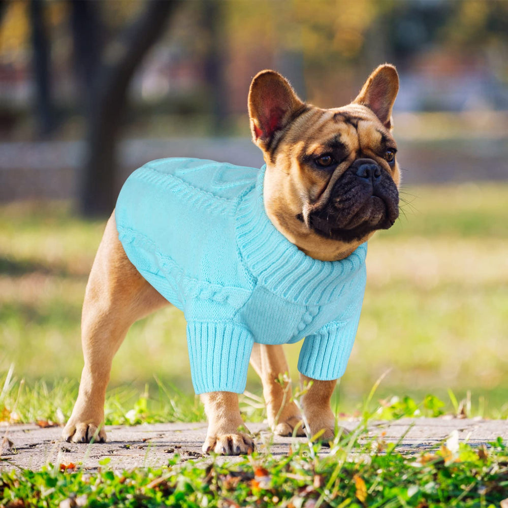 Queenmore dog sweater belly-wrap detail highlights full-body warmth on cold days