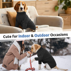 Queenmore check-pattern pet sweater adds stylish flair for daily wear.