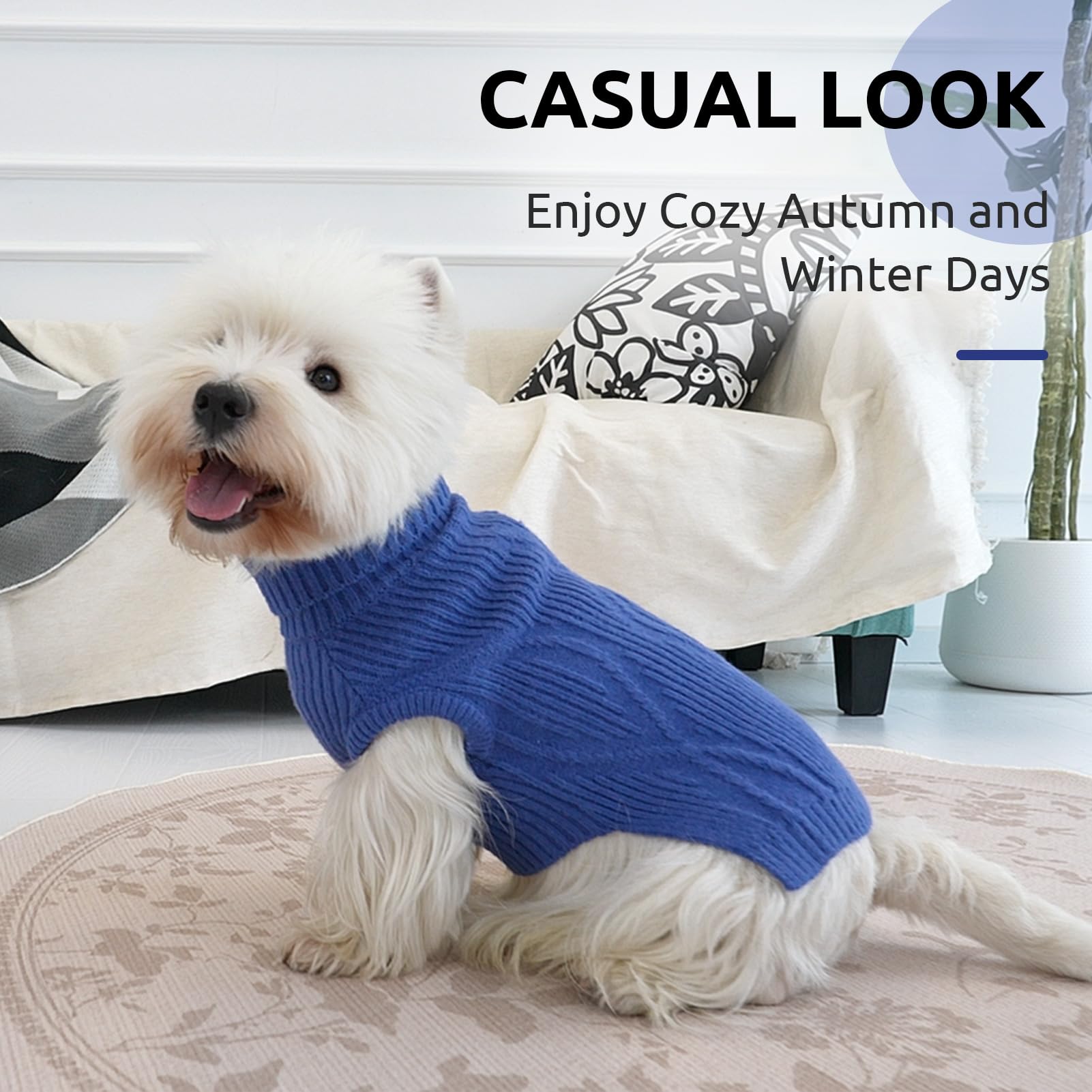 Queenmore dog sweater easy-on-off design demonstrates quick dressing for busy days
