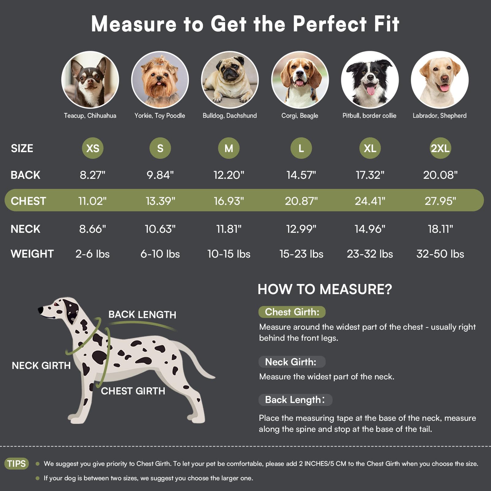 Queenmore Dog Sweater features elastic belly for a comfortable, secure fit.