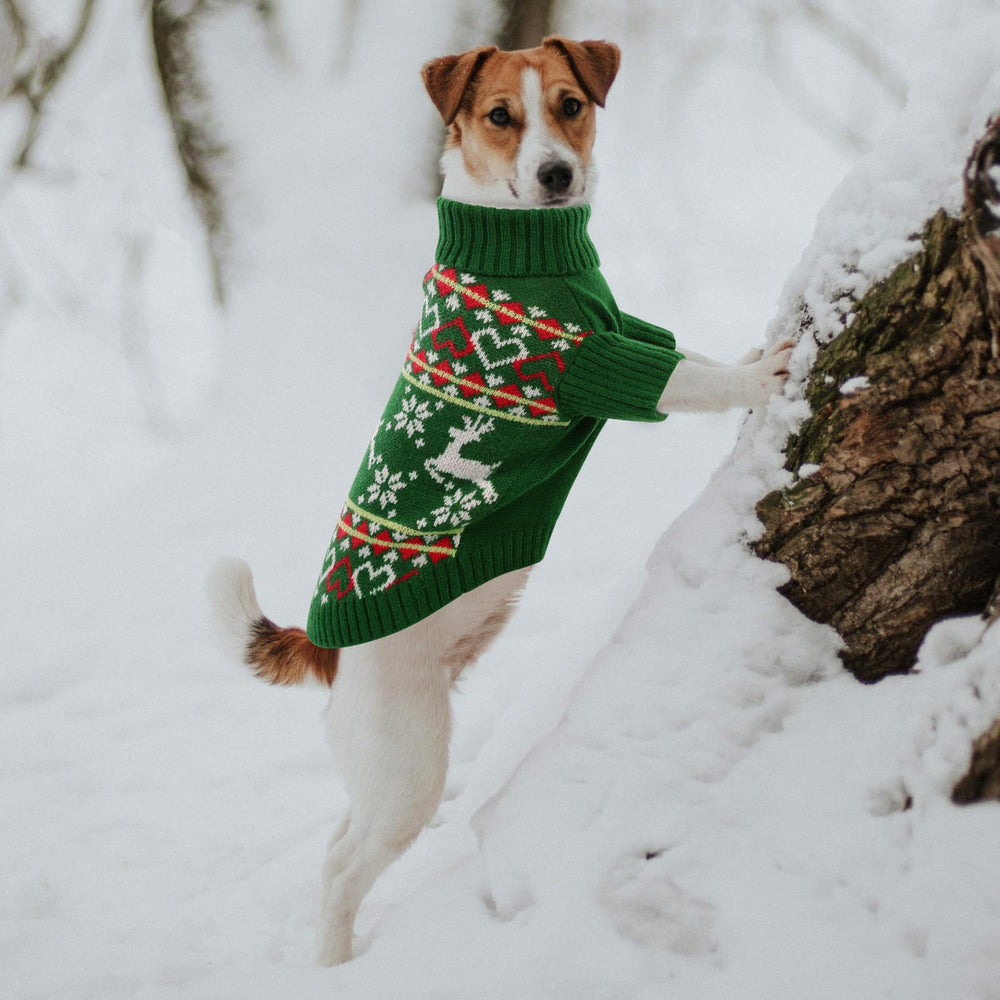Queenmore dog sweater elastic-fit knit accommodates different small dogs for a comfy winter wear.