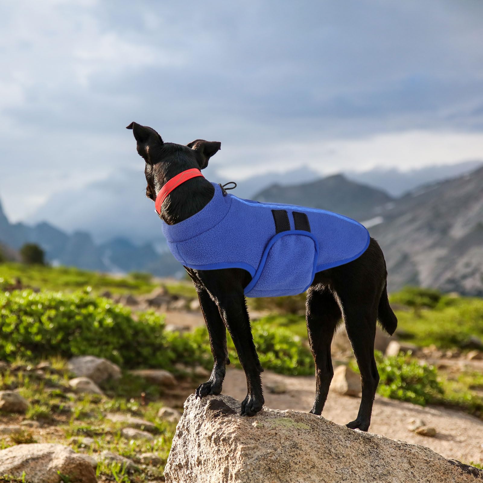 Queenmore dog sweater fabric close-up reveals soft, skin-friendly fleece.