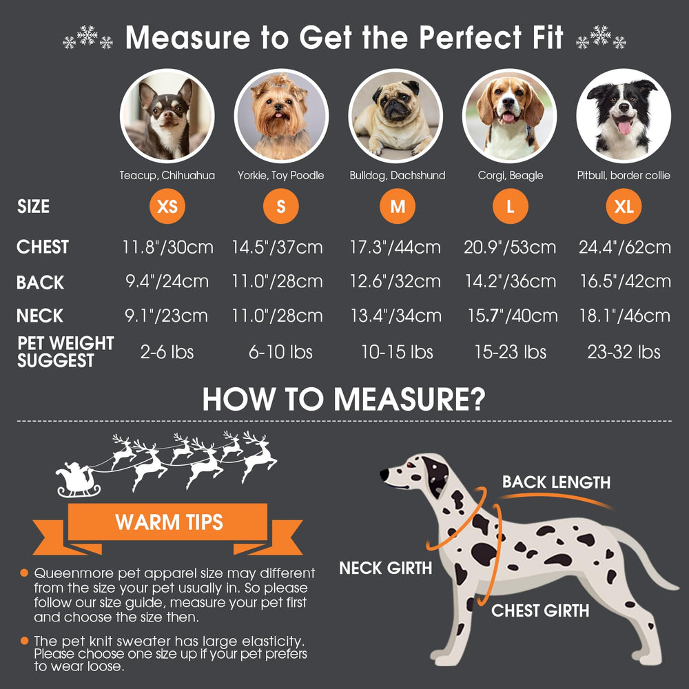 Queenmore dog Christmas sweater festive pattern adds holiday charm for photos.