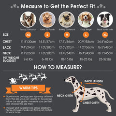 Queenmore dog Christmas sweater festive pattern adds holiday charm for photos.