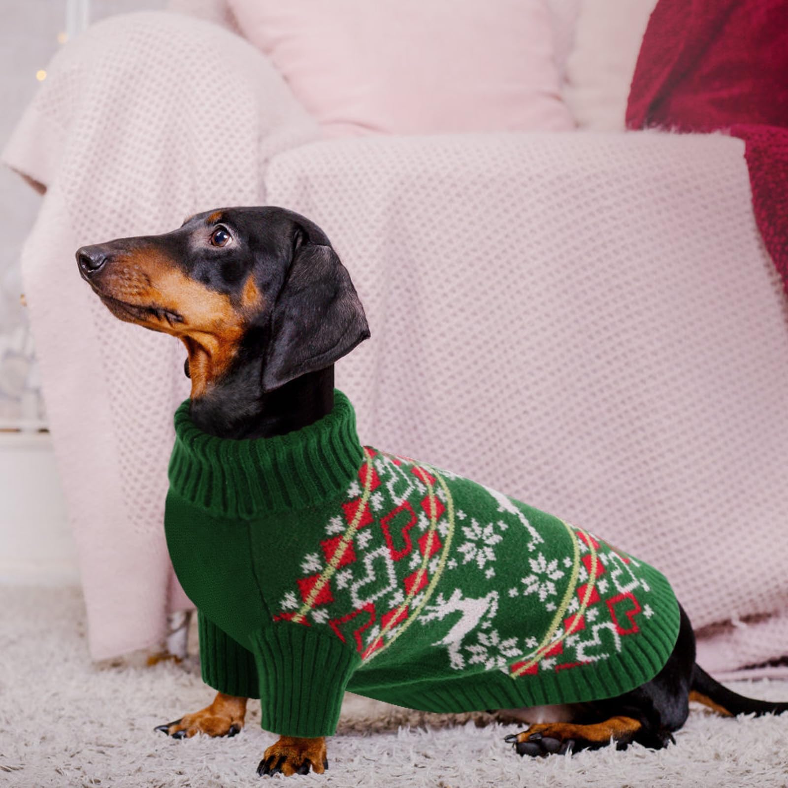 Queenmore dog sweater high-collar design provides extra coverage during chilly strolls.