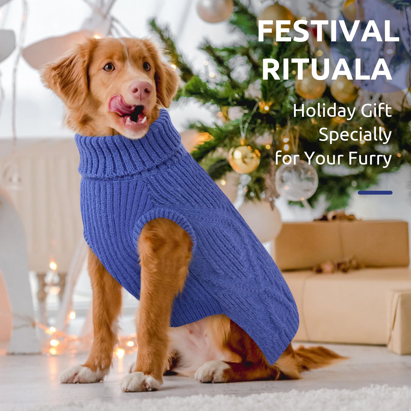 Queenmore dog sweater holiday ensemble flat lay in royal blue