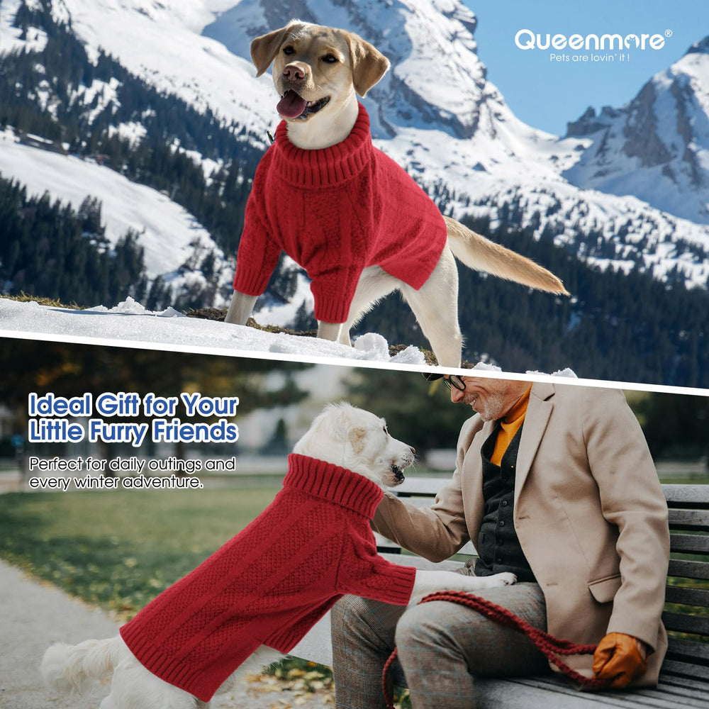 Queenmore dog sweater holiday outfit ready for Christmas photos.