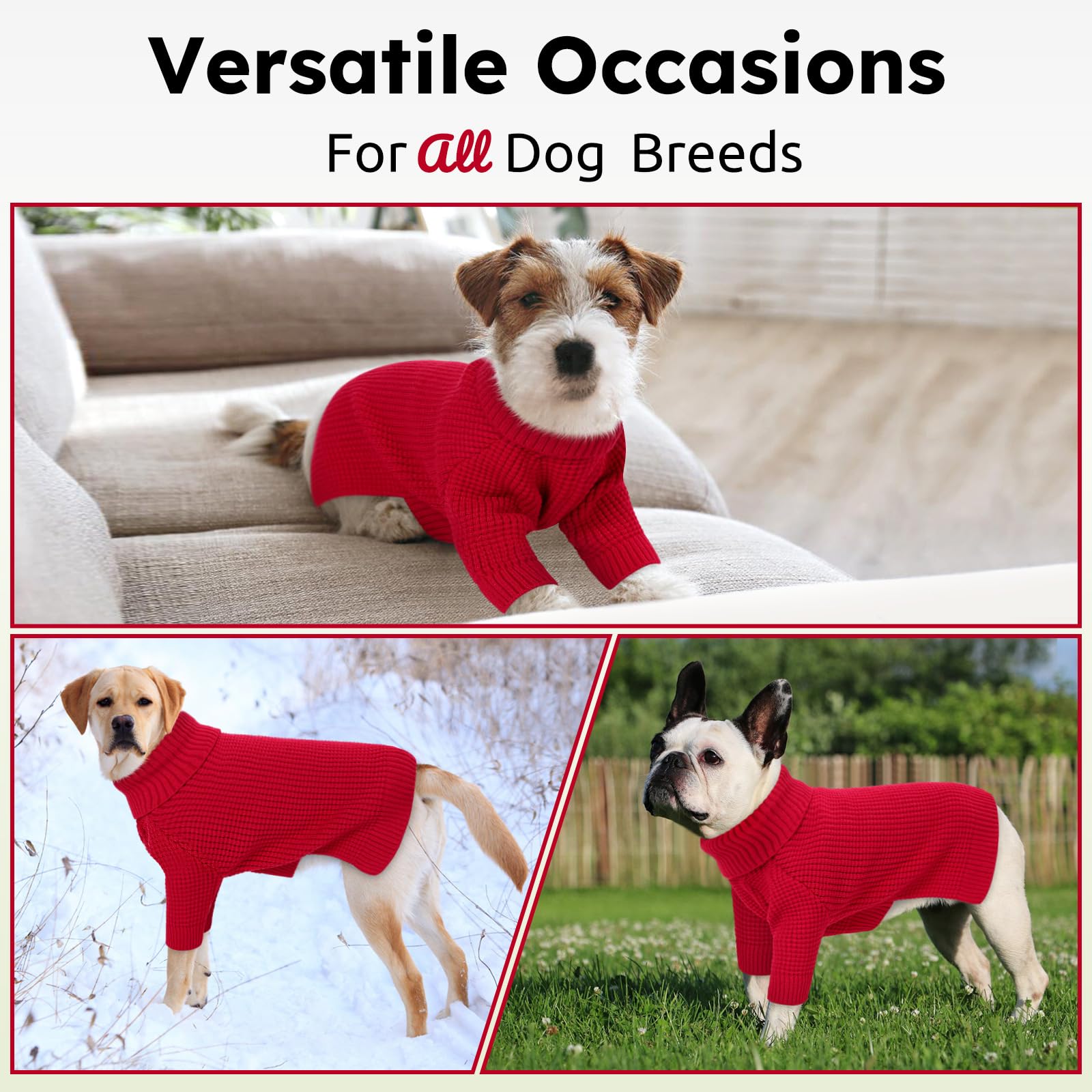 Queenmore dog sweater holiday-ready red design suits Christmas and events