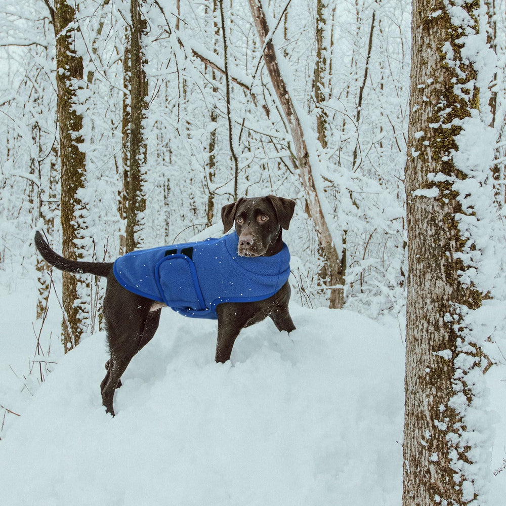 Queenmore dog sweater machine-washable fabric simplifies care after adventures.