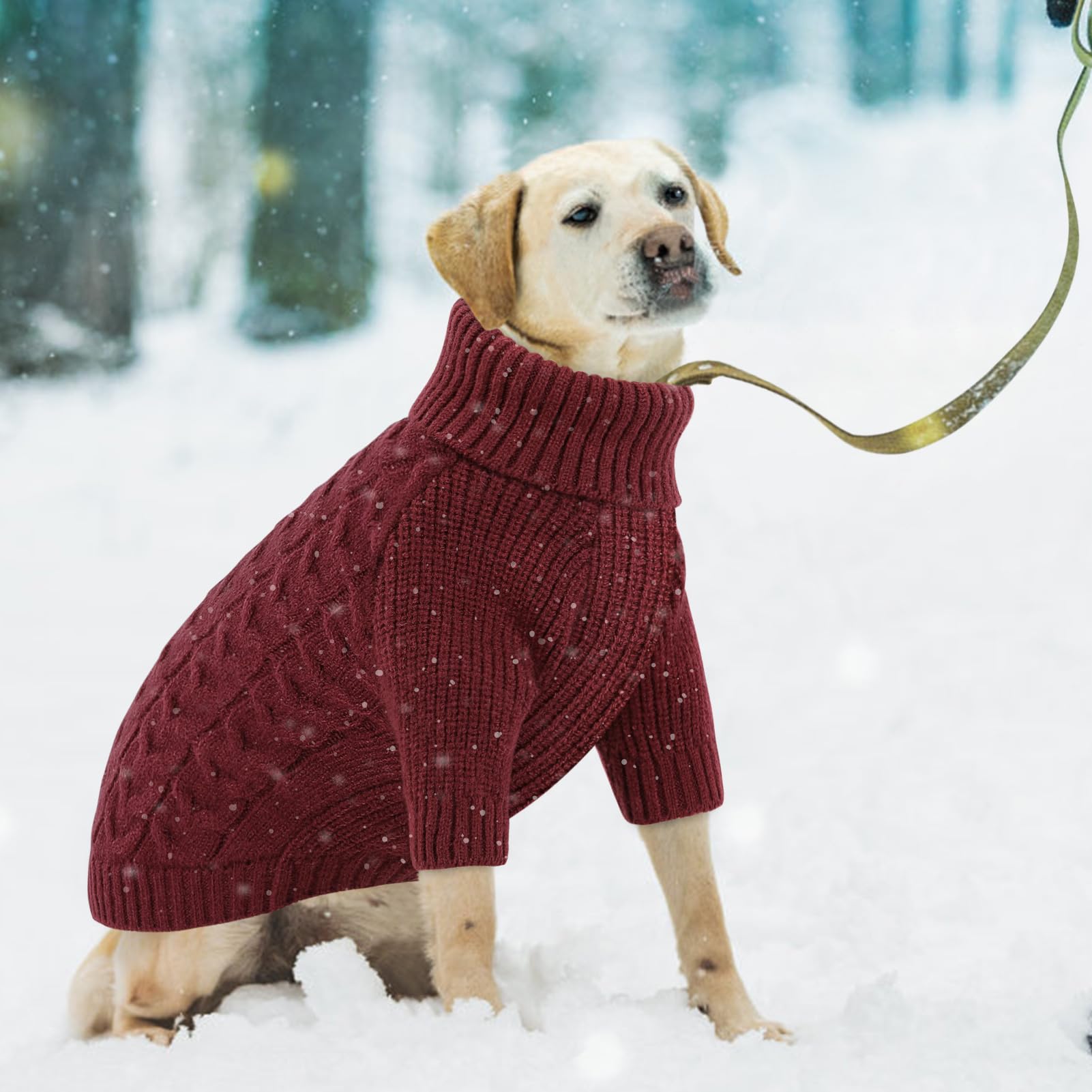 Queenmore dog sweater on dog wearing burgundy for warm holiday look