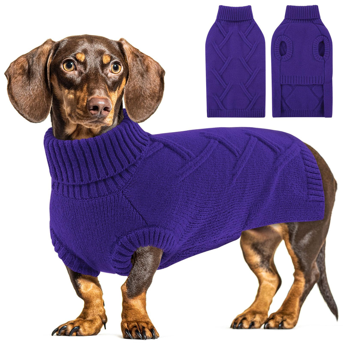 Queenmore dog sweater in orchid color on a medium dog for a chic winter look.