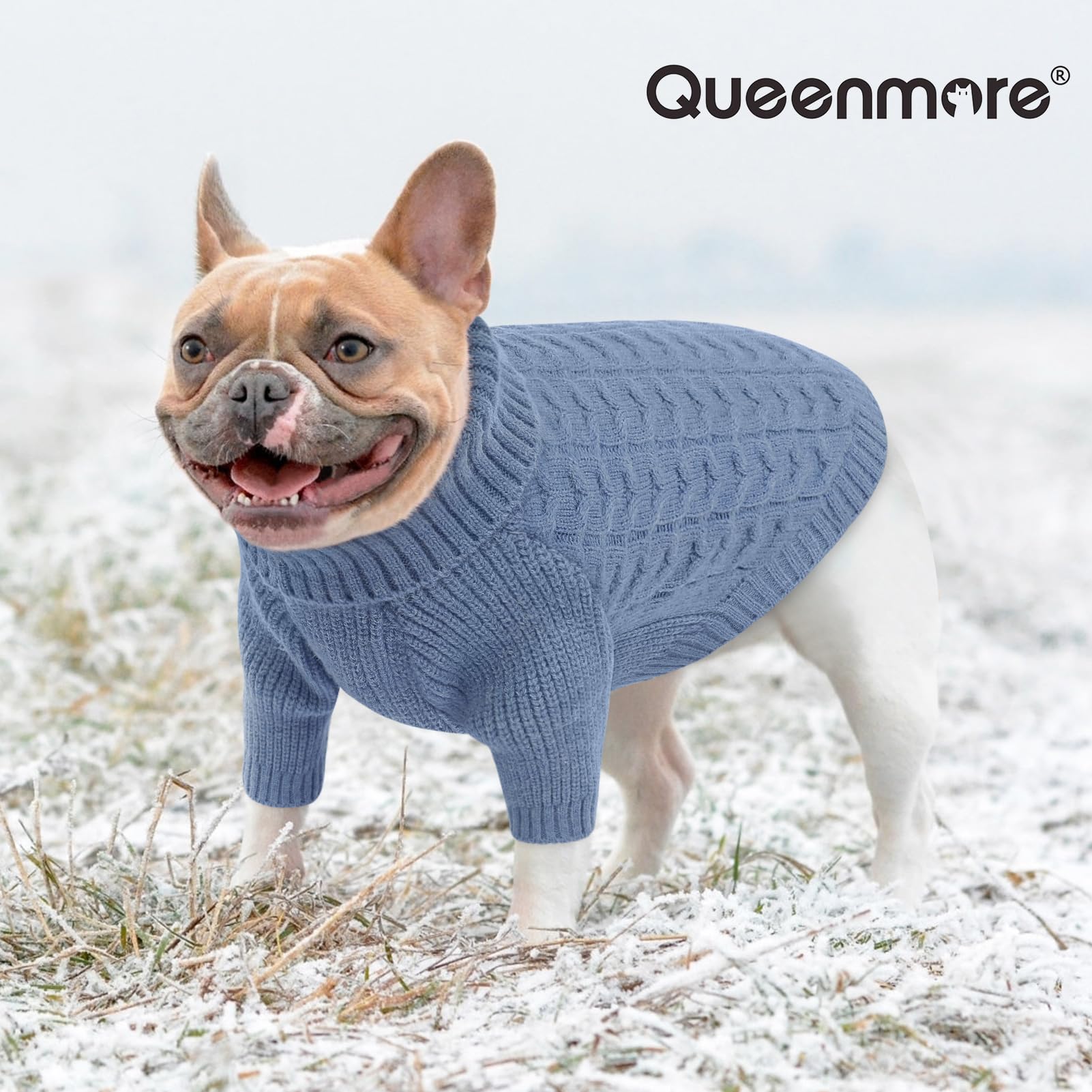 Queenmore dog sweater pullover design enables simple on/off during busy mornings