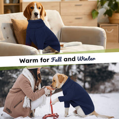 Queenmore dog sweater pullover easy-on design for quick dressing and potty breaks