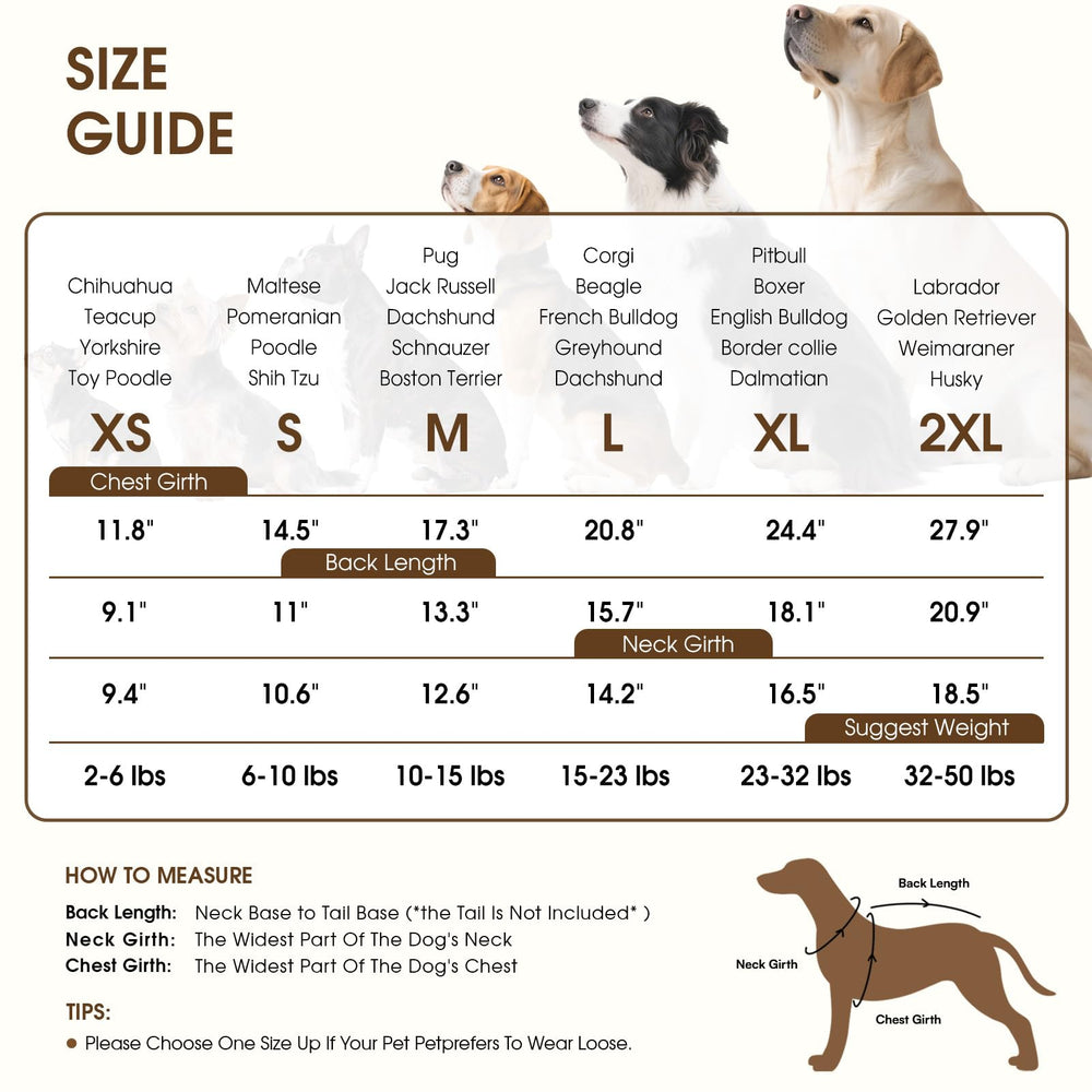 Queenmore dog sweater pullover design enables quick on-off during busy mornings.