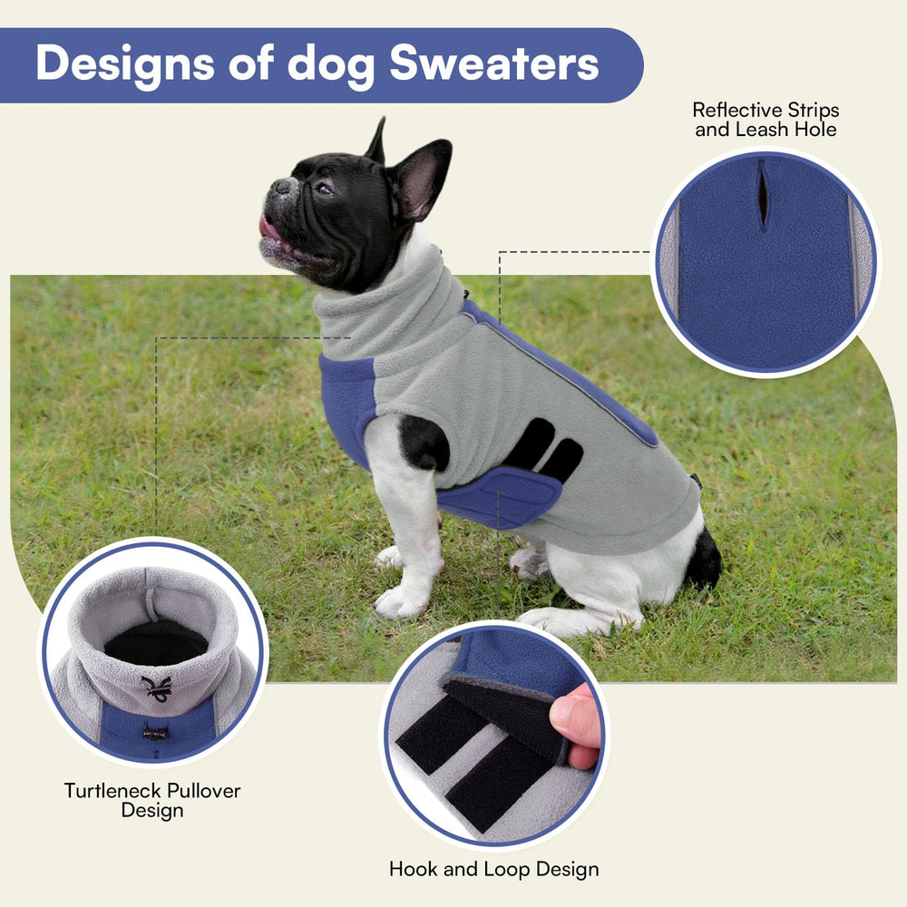 Queenmore dog jacket with reflective belt for safer night walks.