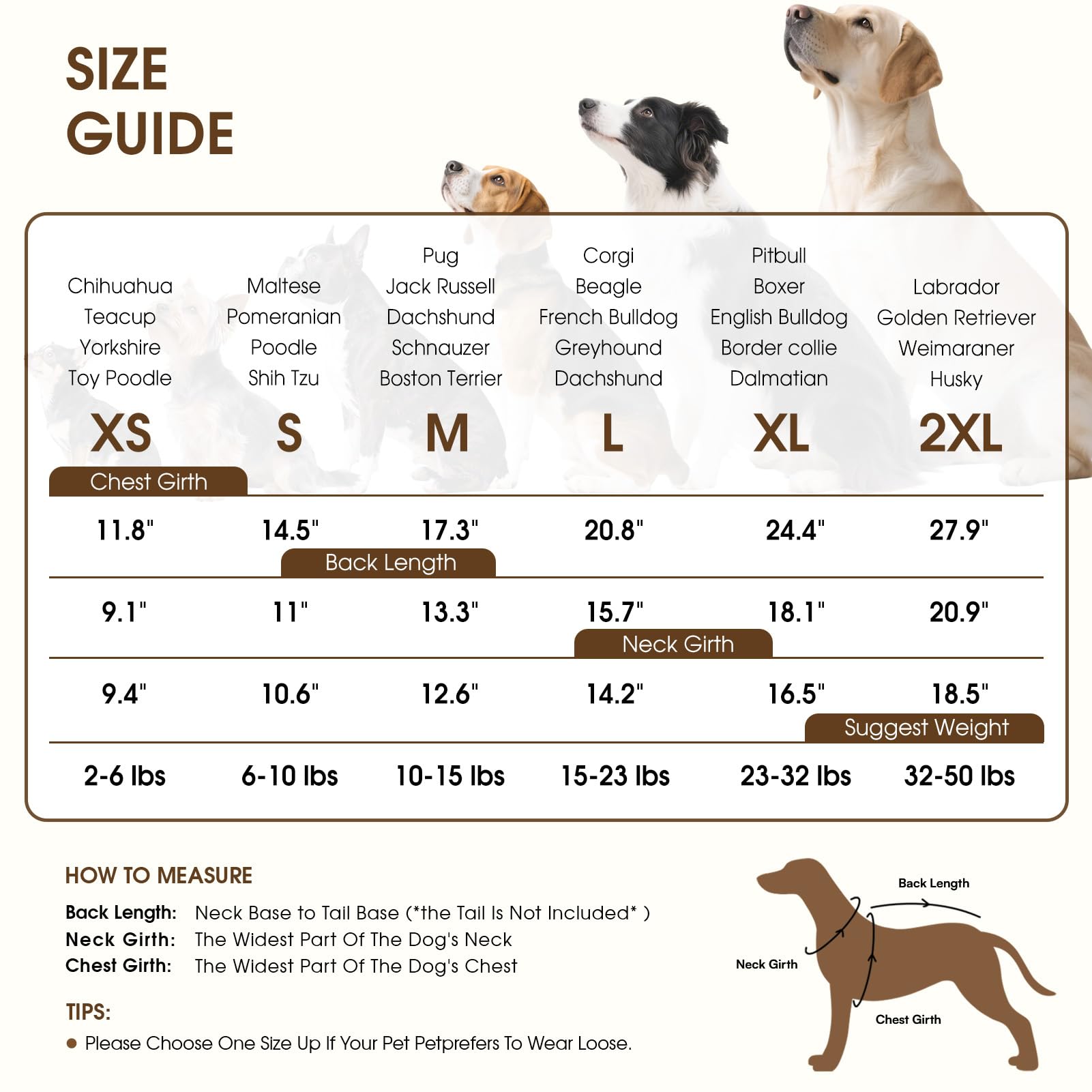Queenmore ribbed-neck and hem detail on a dog sweater emphasizing durability.