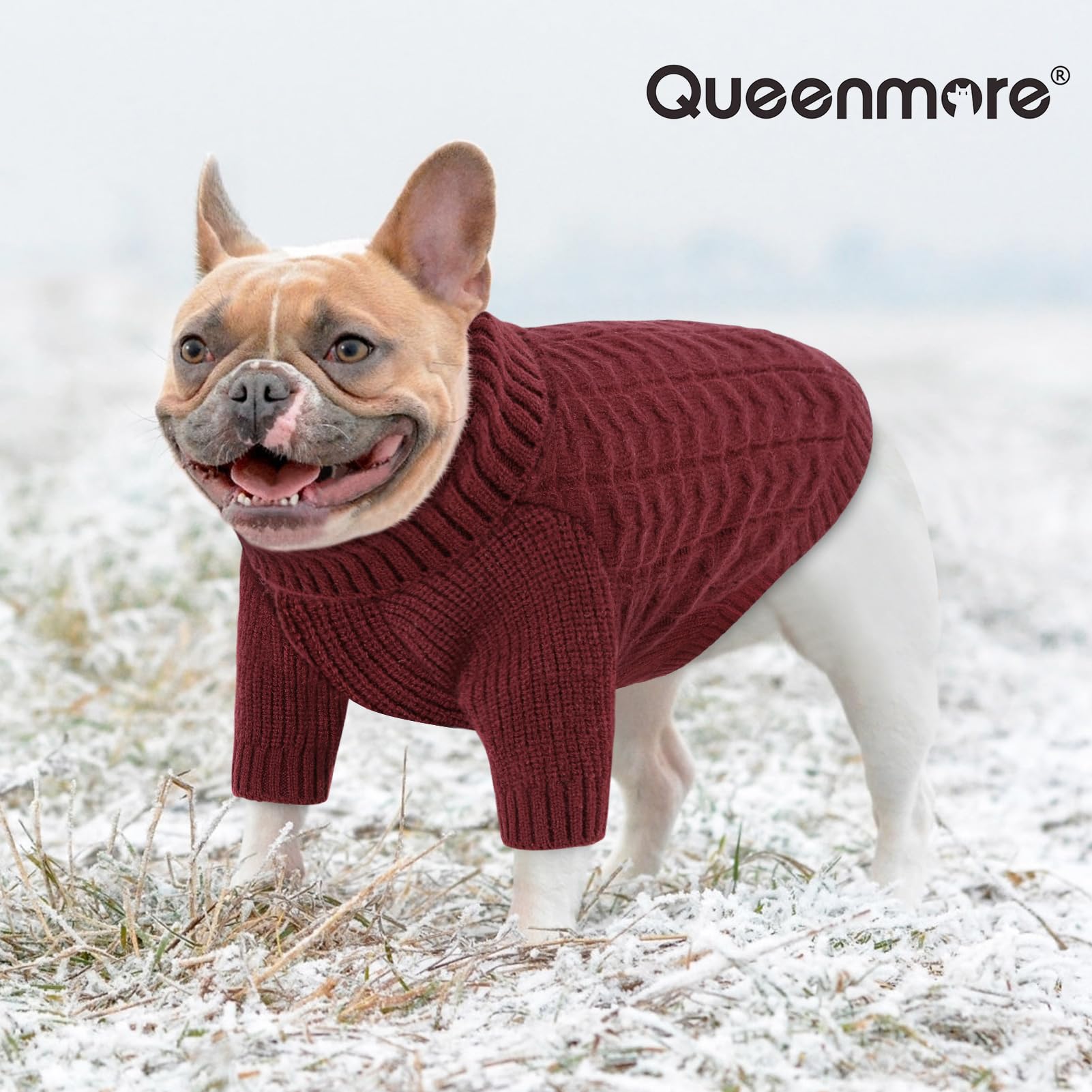 Queenmore dog sweater size chart helps you pick the right fit