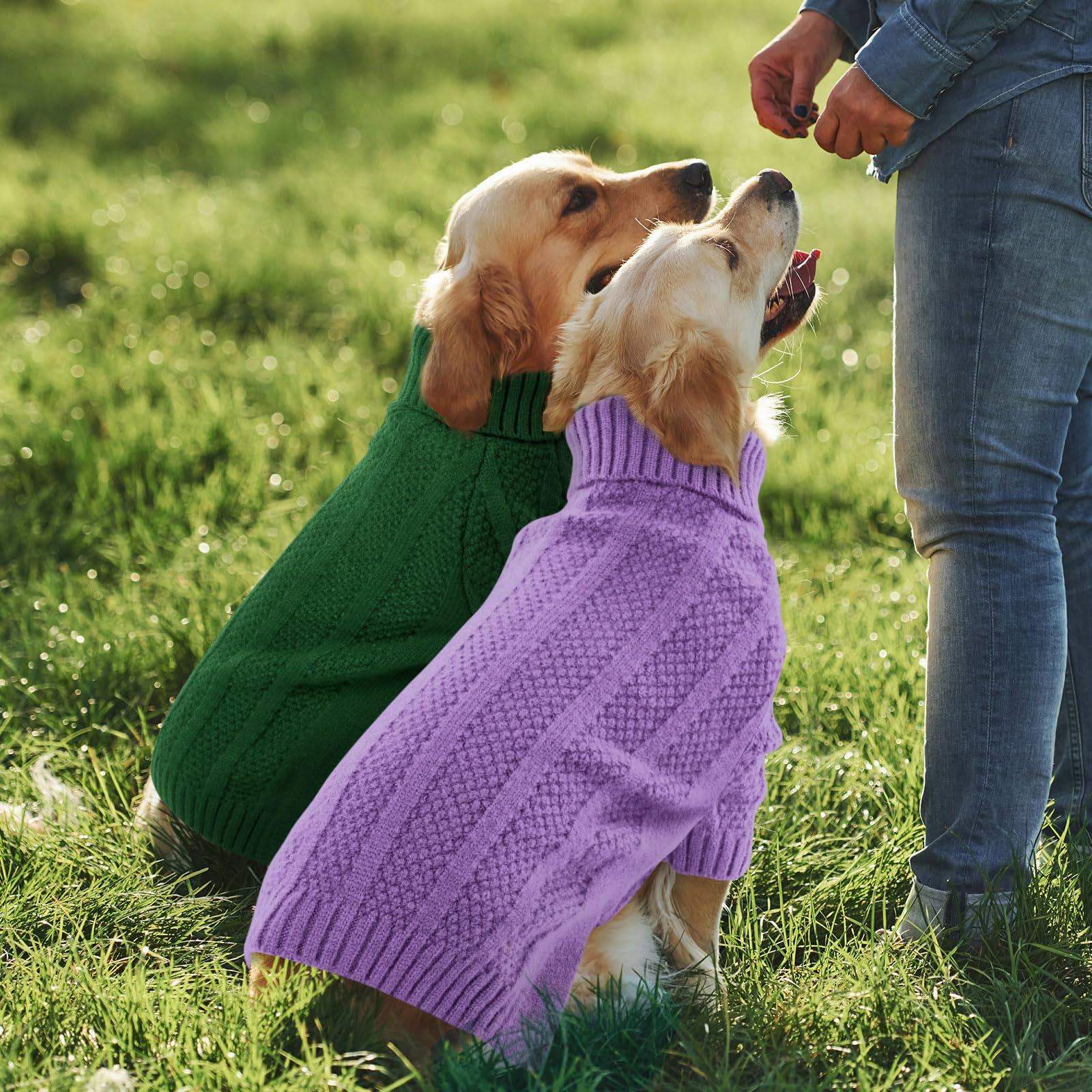 Queenmore dog sweater size chart helps finding the perfect fit across breeds