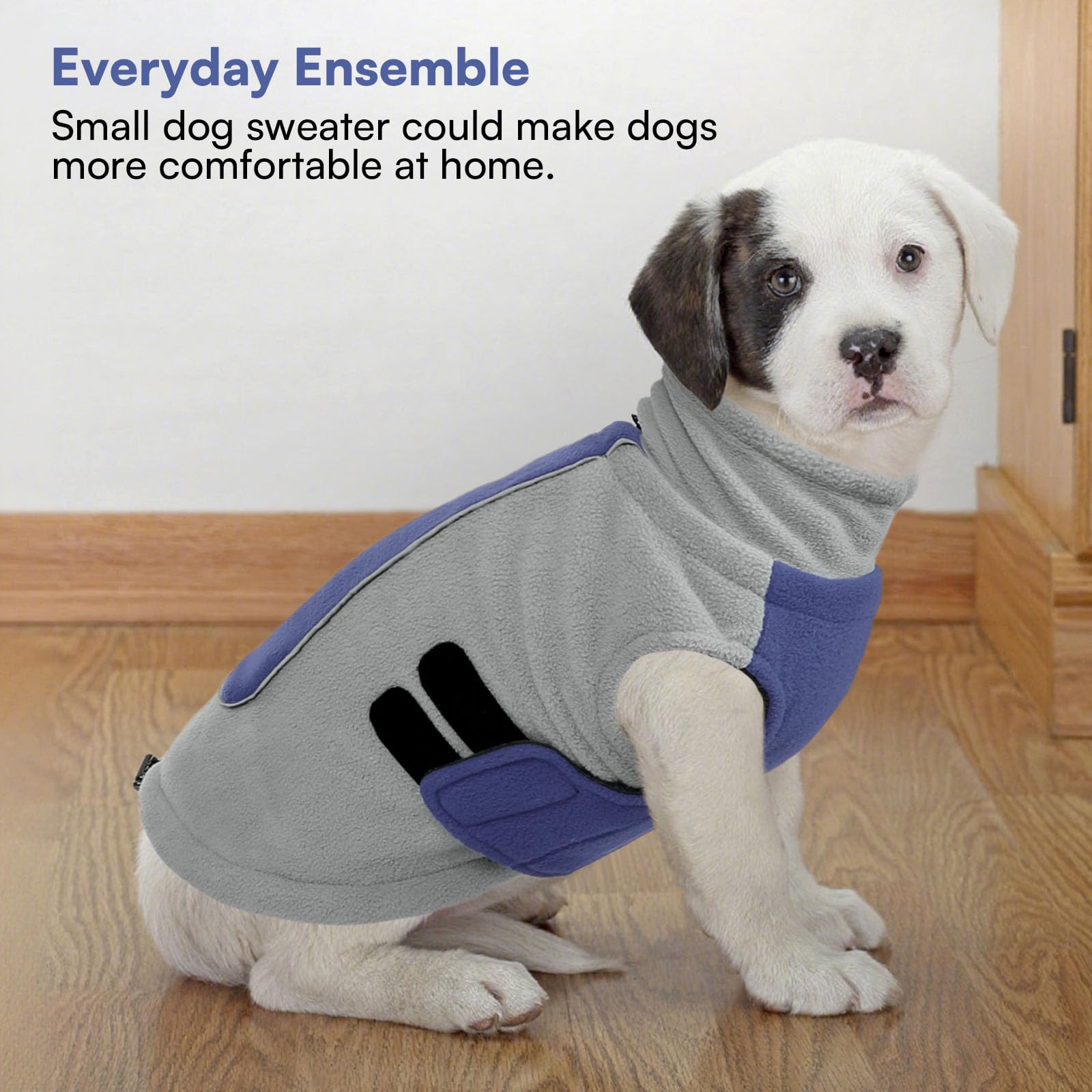Queenmore two-color design adds fashion while keeping your dog comfortable.