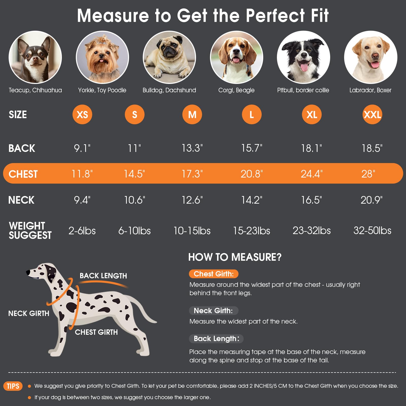 Queenmore dog sweater warm fleece texture emphasizes warmth without bulk for daily wear