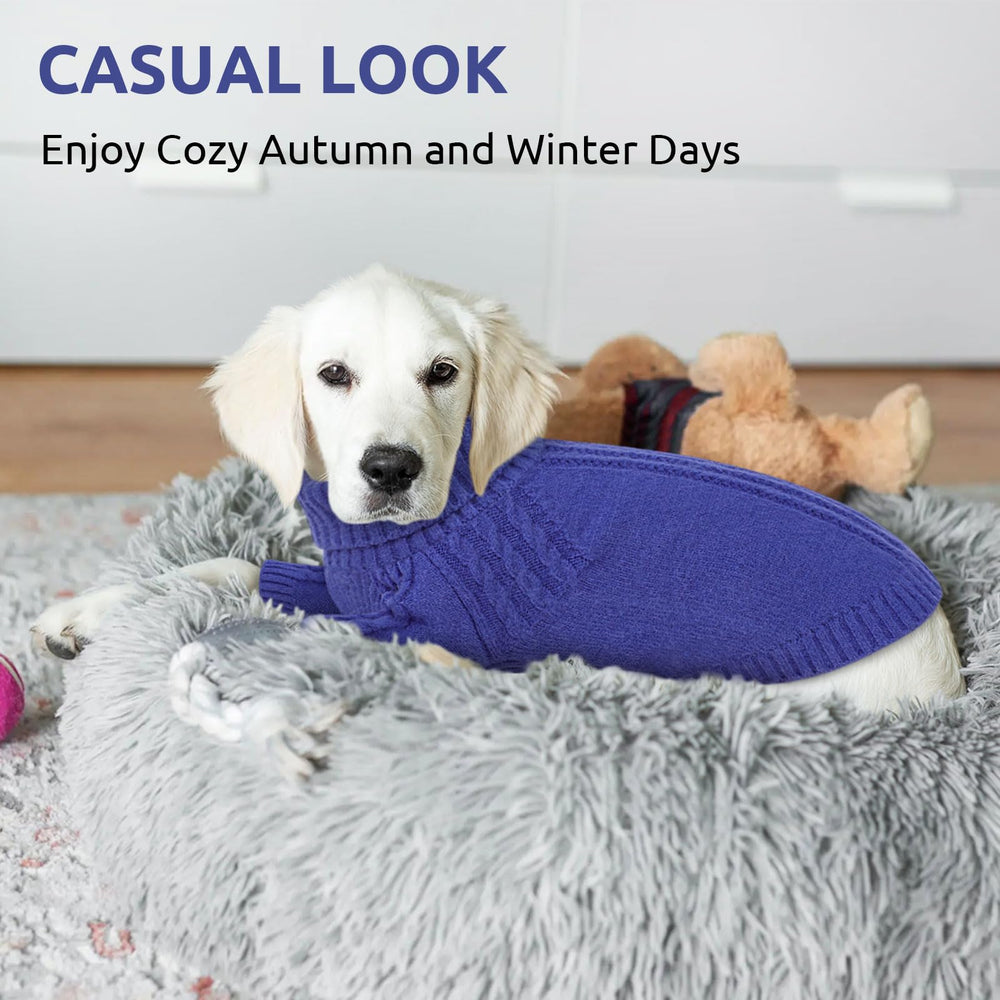 Queenmore dog sweater winter-walk setup with pup demonstrates warmth during outdoor outings.