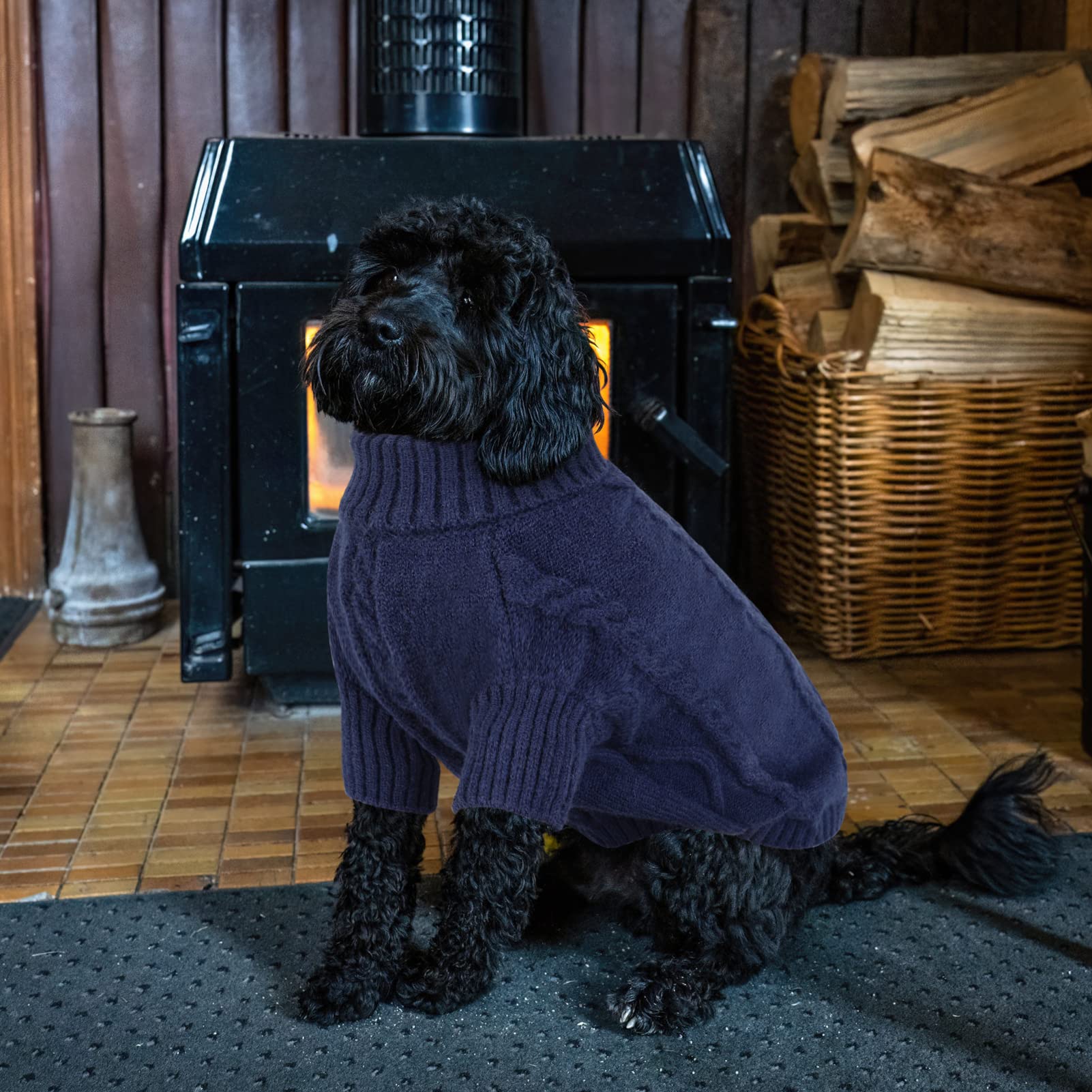 Queenmore XXL dog sweater winter-walk usage shows dog in cold conditions.