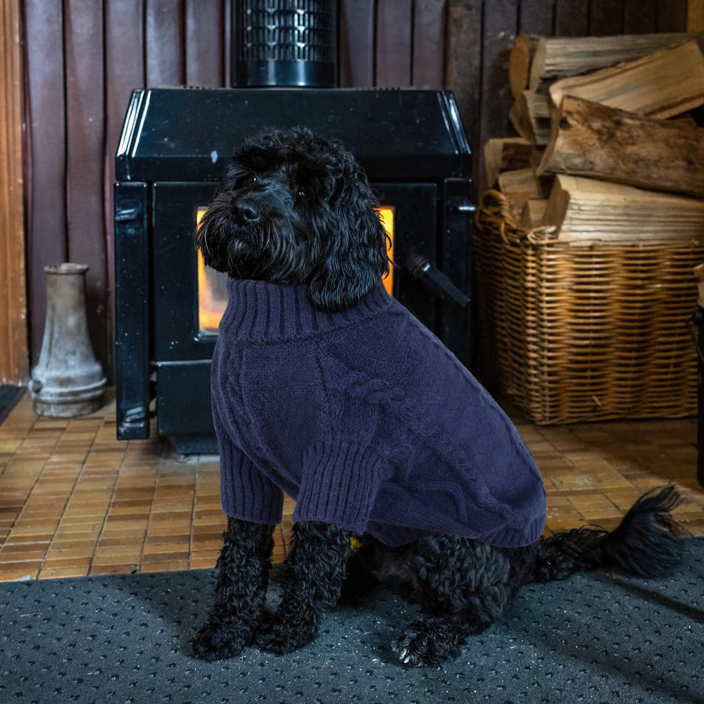 Queenmore XXL dog sweater winter-walk usage shows dog in cold conditions.