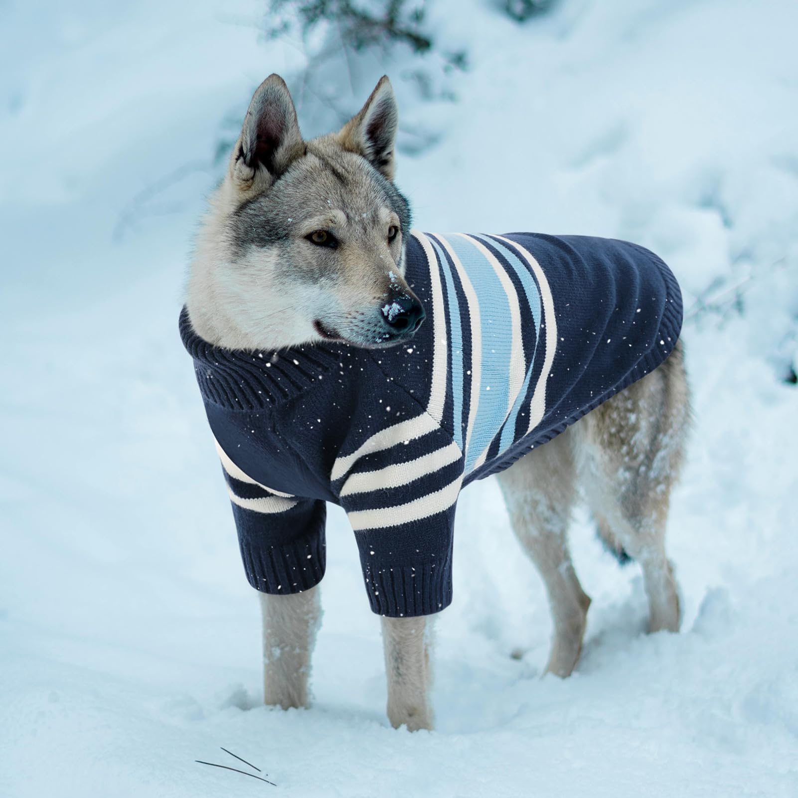 Queenmore dog sweater with leash hole enables secure outdoor walks