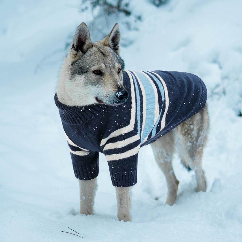 Queenmore dog sweater with leash hole enables secure outdoor walks