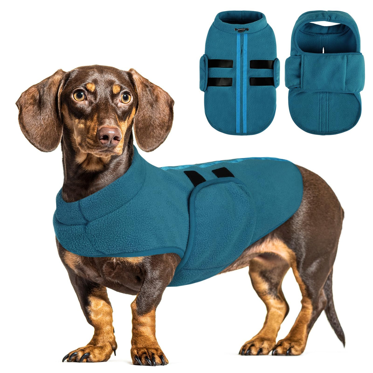 Queenmore dog sweater front view in Peacock-Blue showing cozy fleece warmth for winter outings.