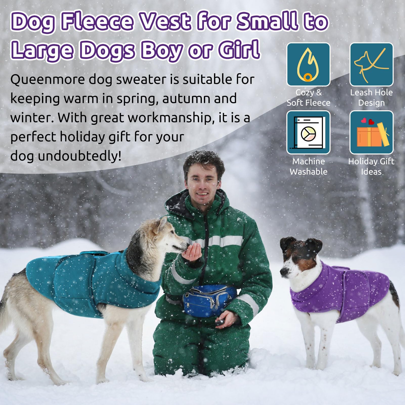 Queenmore winter wear keeps small to medium dogs cozy outdoors.