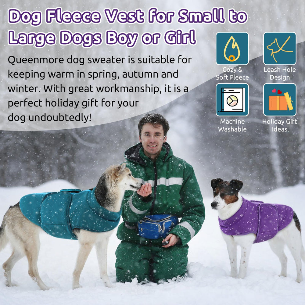 Queenmore winter wear keeps small to medium dogs cozy outdoors.