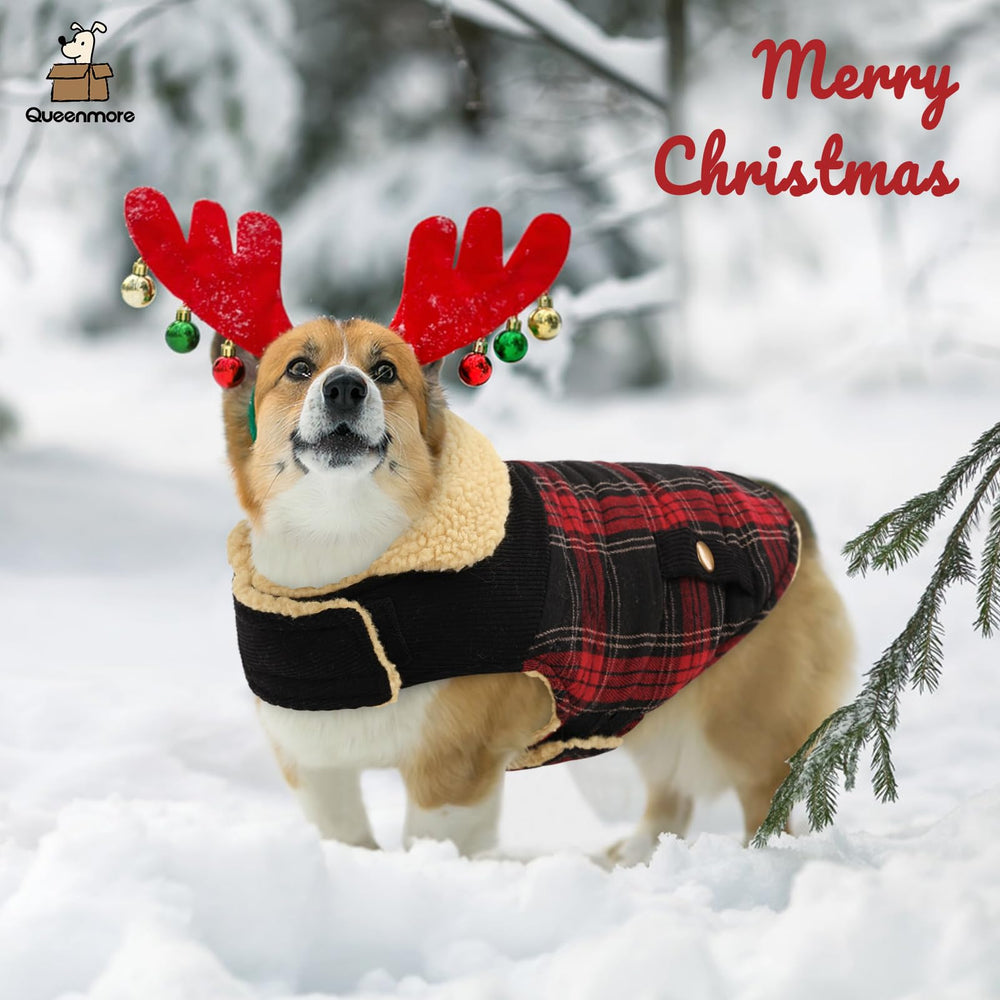 Queenmore dog winter coat Christmas plaid style for festive outings