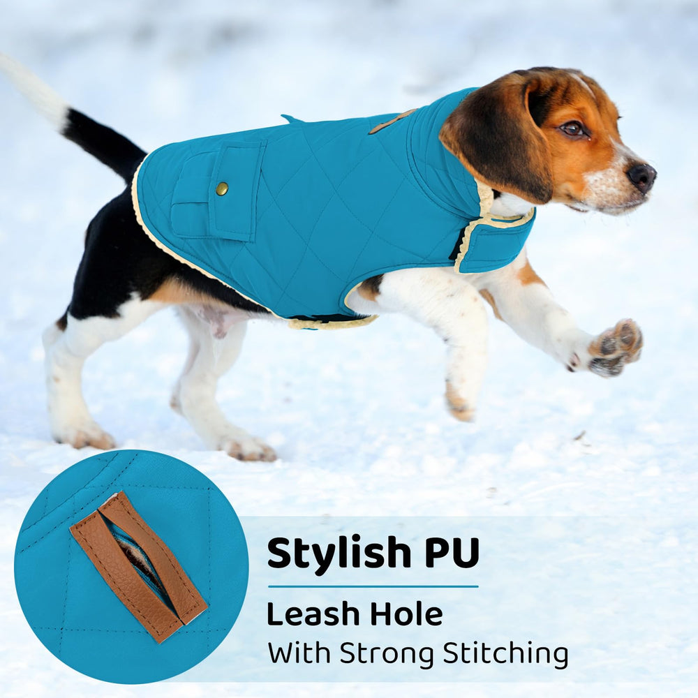 Queenmore dog winter coat collar-down reveals plush lining for warmth
