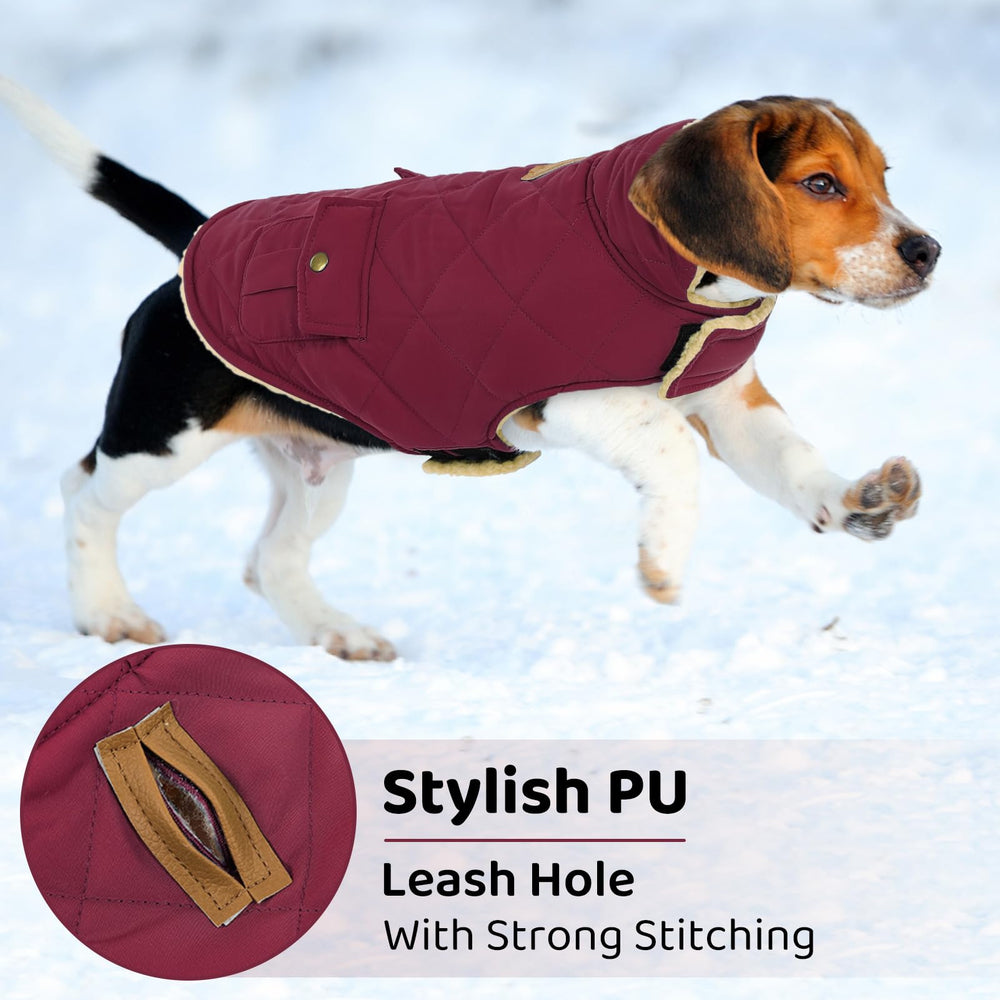 Queenmore dog winter coat collar down reveals plush sherpa lining