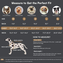 Queenmore dog winter coat collar up warmth protection view