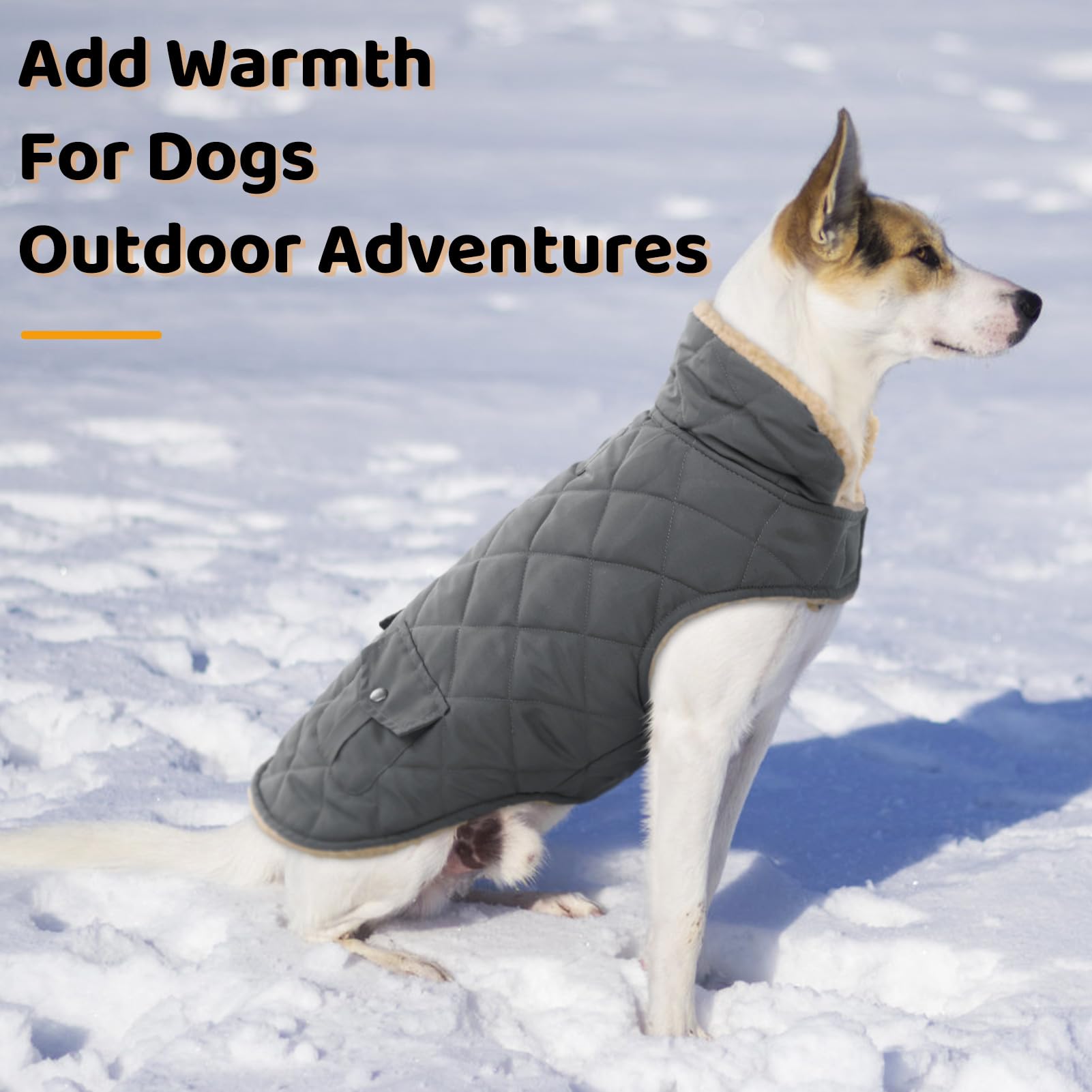 Queenmore dog winter coat grey side-windproof detail demonstrates durable cold-weather gear.