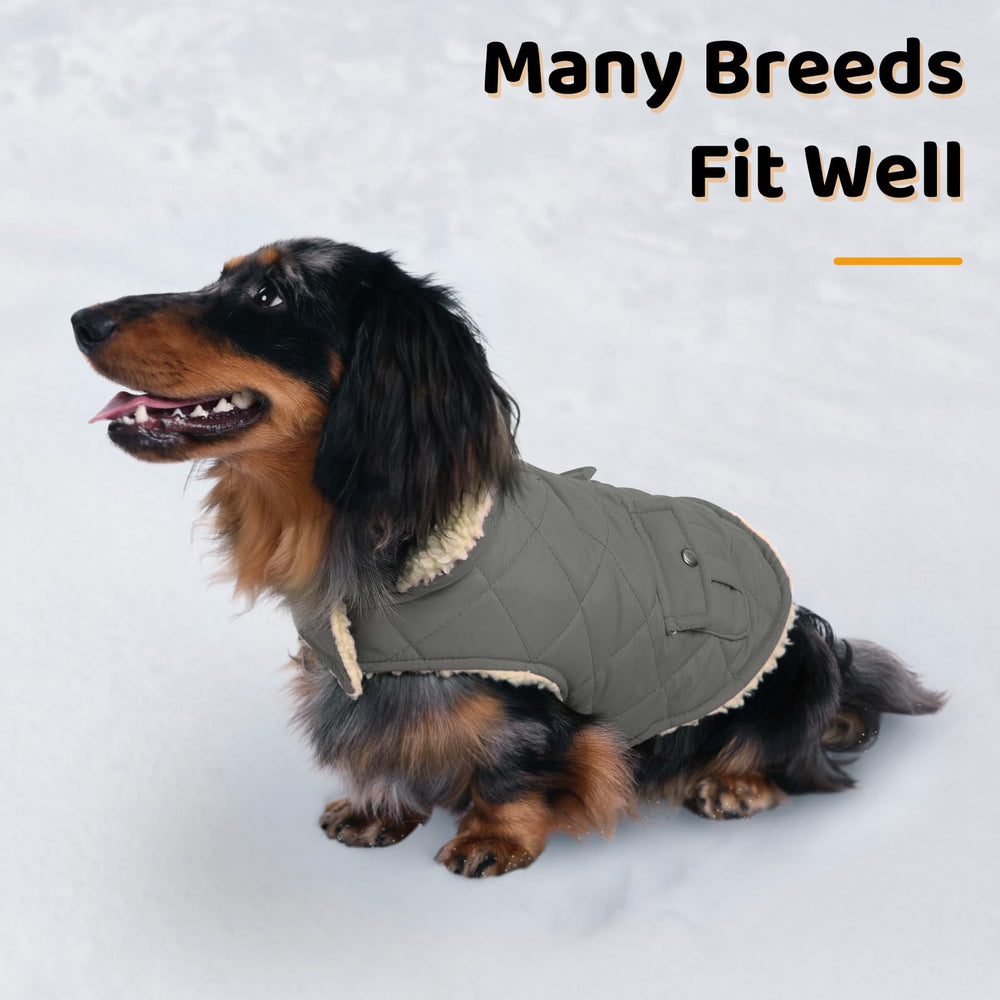 Queenmore dog winter coat grey size chart helps you pick the right fit