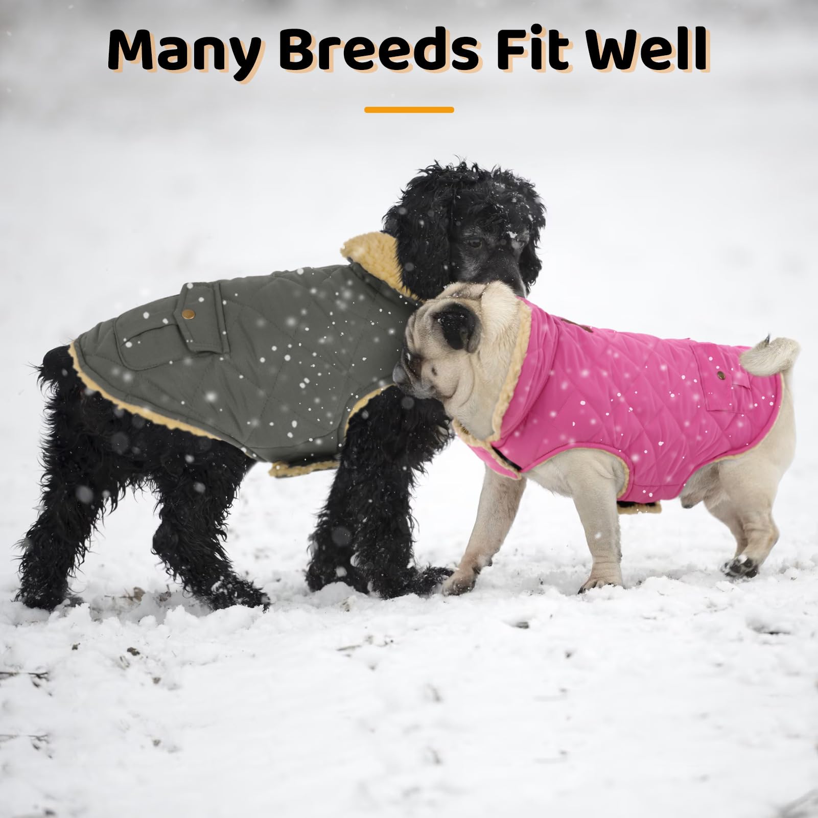Queenmore Dog Winter Coat pink XS size chart image helps select the right fit.