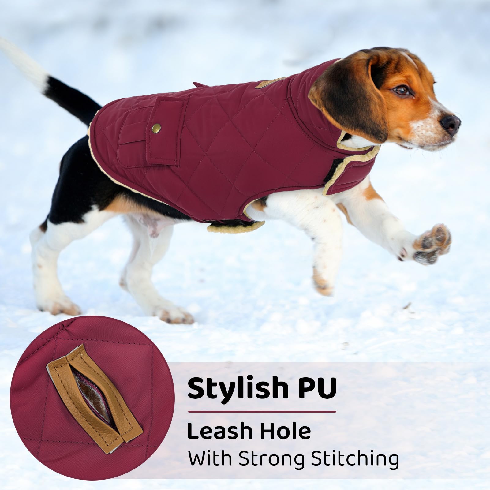 Queenmore dog winter coat plush lining provides cozy comfort on cold days.