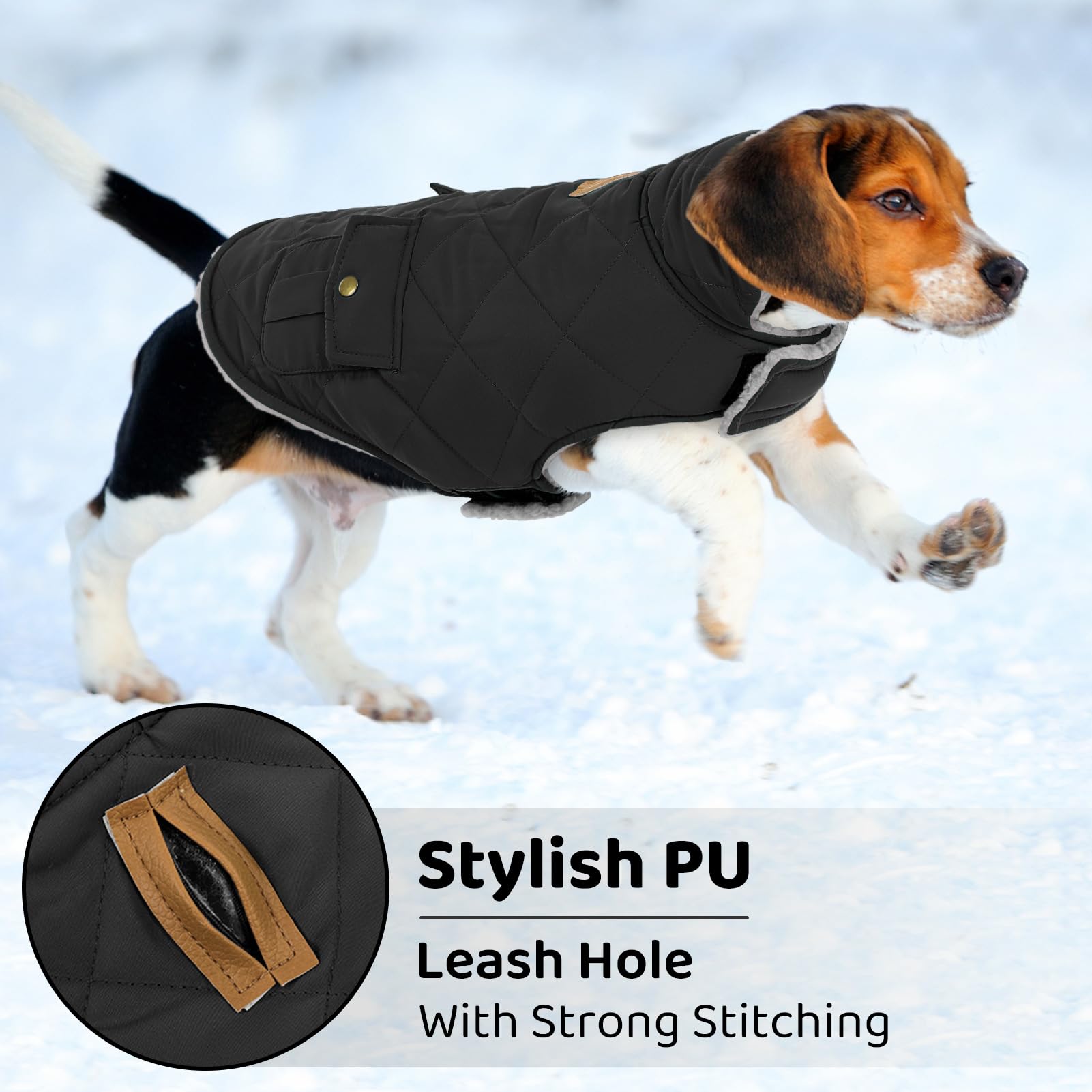 Queenmore dog winter coat plush lining offers cozy warmth on cold days.