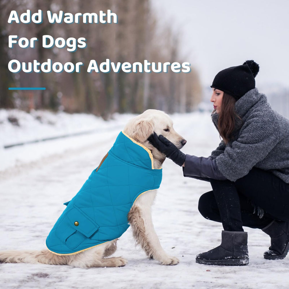 Queenmore dog winter coat plush sherpa lining provides soft warmth