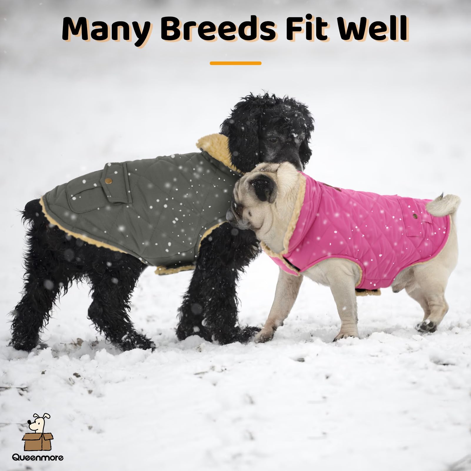 Queenmore dog winter coat size chart helps you pick the right fit.