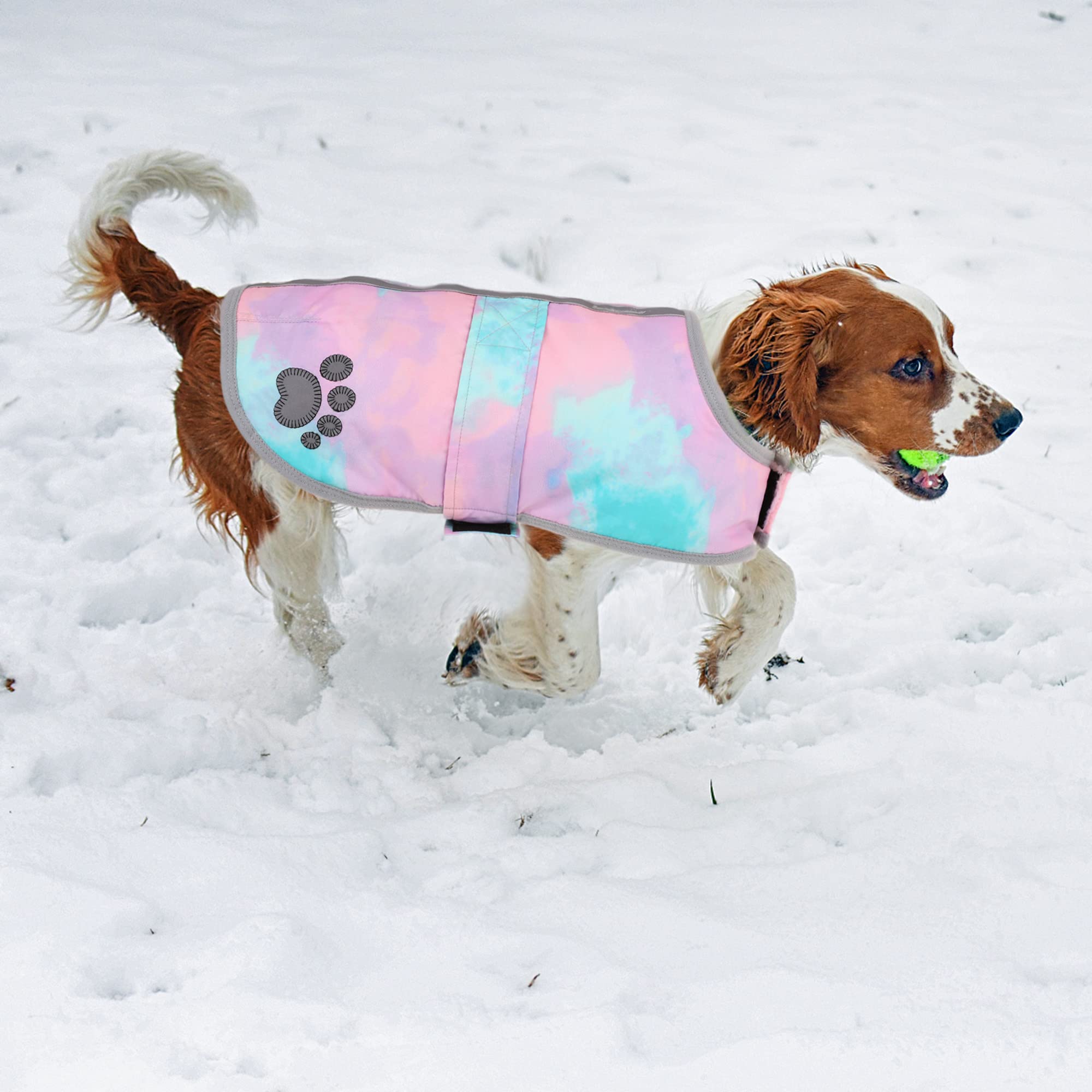 Queenmore dog winter coat size chart image shows eight size options for a precise fit.